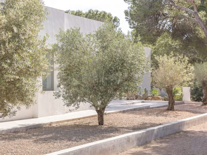 Can Torrent Garden Area