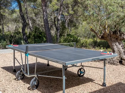 Can Torrent Tennis Table Ping Pong