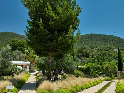 Can Curt Garden Area
