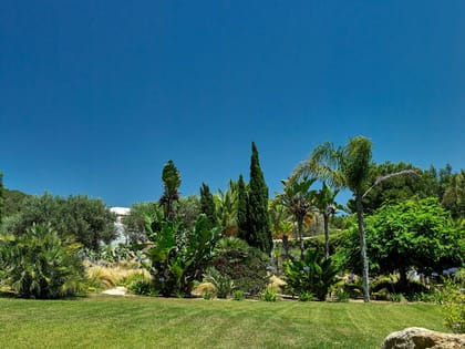 Can Curt Garden Lawn Area