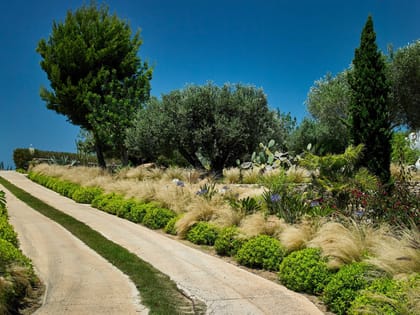 Can Curt Garden Path