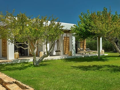 Can Curt Garden Trees Lawn