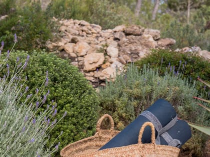 Can Yondal Basket Garden