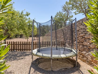 Can Tomas Trampoline