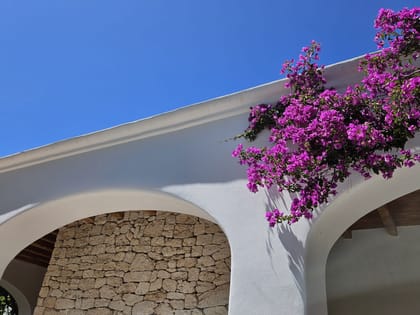 Villa Livina Flowers