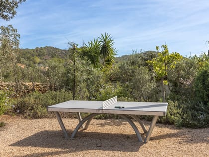 Can Haya Table Tennis