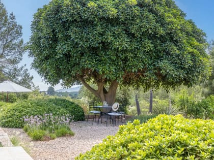 Can Carabasso Garden