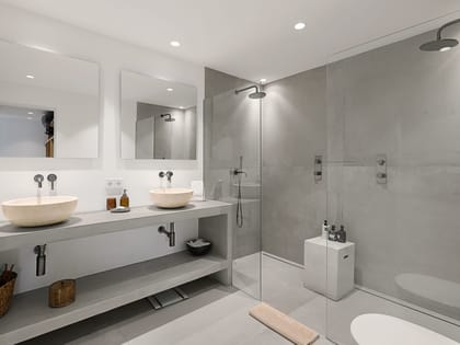 Can Sankisha Master Bathroom