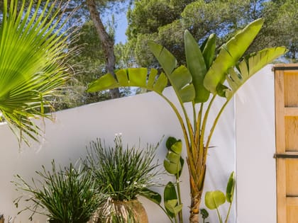 Can Yondal Flower Pots Corner