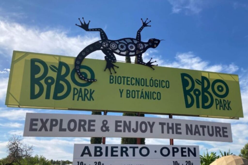 Kids Experiences Bibo Park