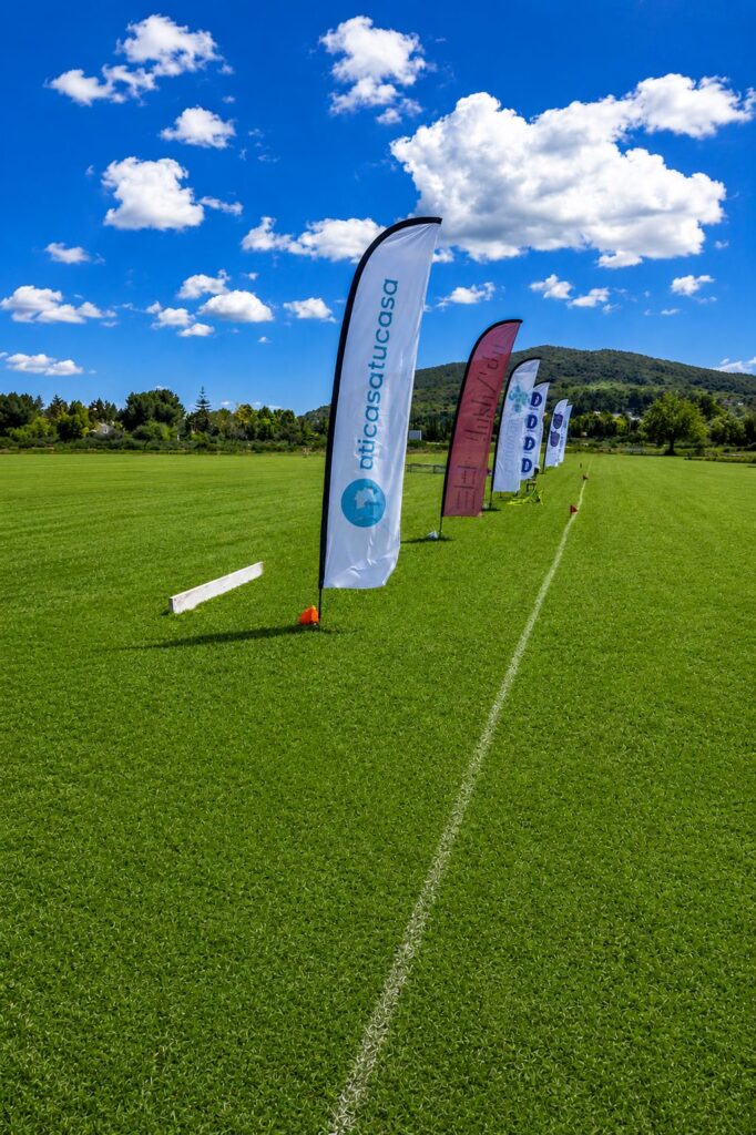 Cricket Flag