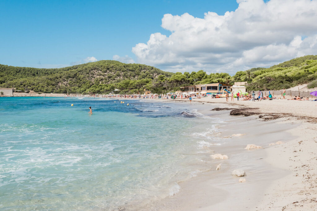 Ibiza Beaches Las Salinas 05