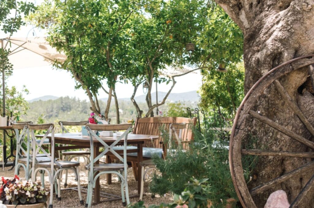 La Paloma