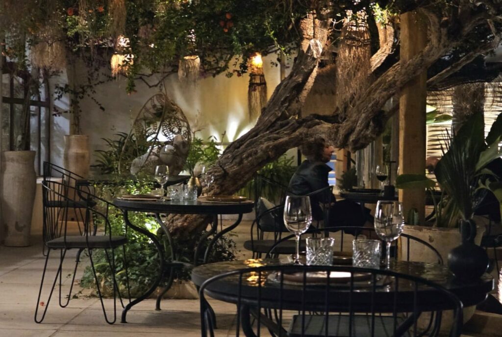 Palm Ibiza